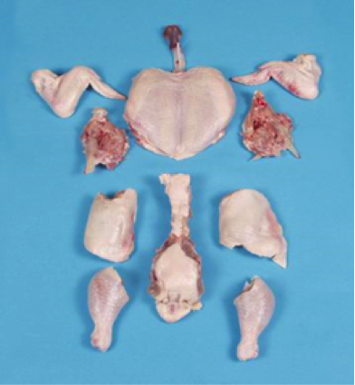 Cuts Of Poultry Chart