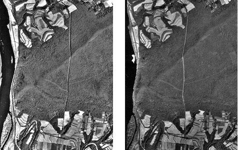 Two aerial images that make up a stereopair