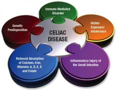 The symptoms of celiac disease. Long description available.