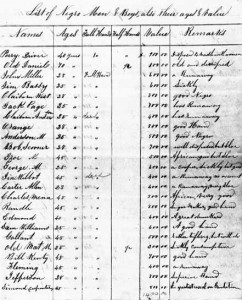 A page from the Book of Negros, a tabulation of African-Americans heading from New York to Nova Scotia. Note that ages are mostly rounded and that "values" are provided.