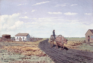 Red River carts were amphibious craft consisting of a flatbed attached to two large, convex spoked wheels. No metal was used in their construction and the wheels could be removed and strapped to the bottom so that the vehicle became a raft. They were invariably pulled by oxen.