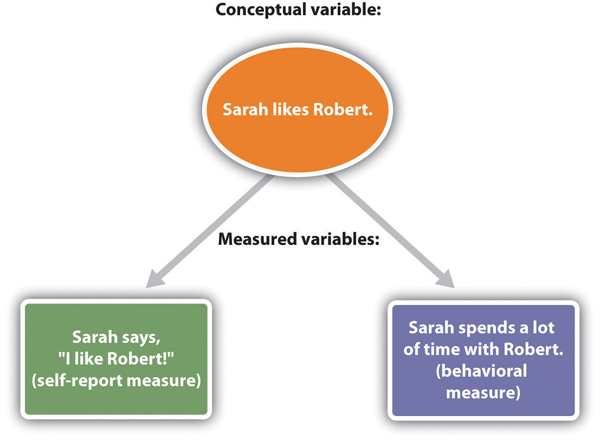 Conceptual and measured variables