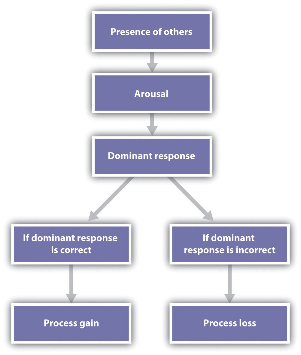 Group Performance  Principles of Social Psychology