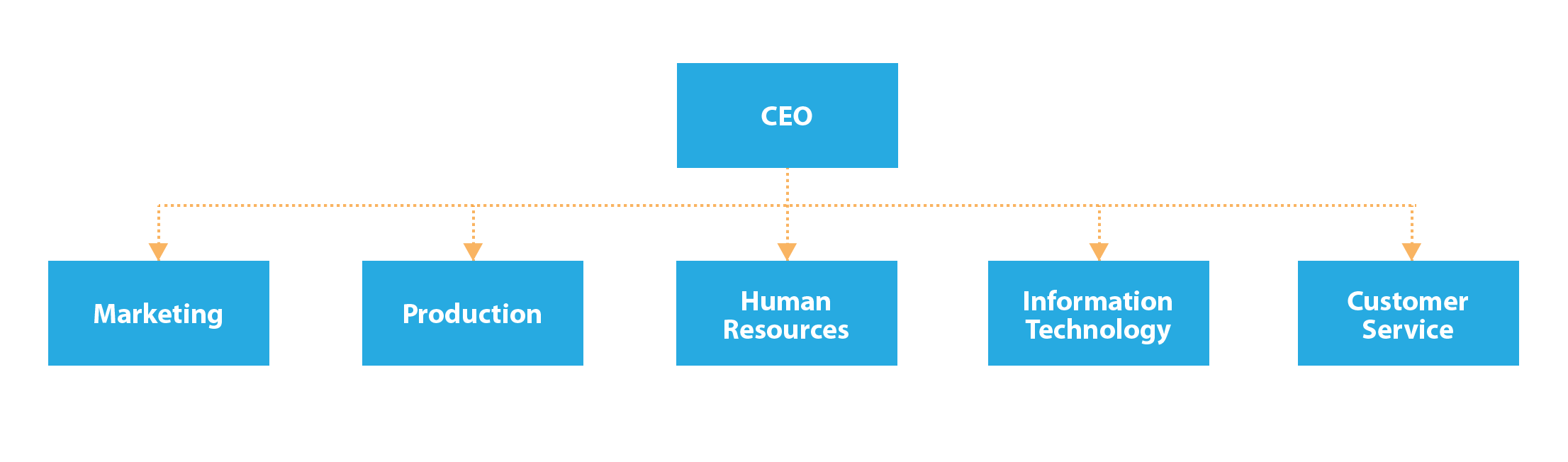 Functional Organizational Structure Chart