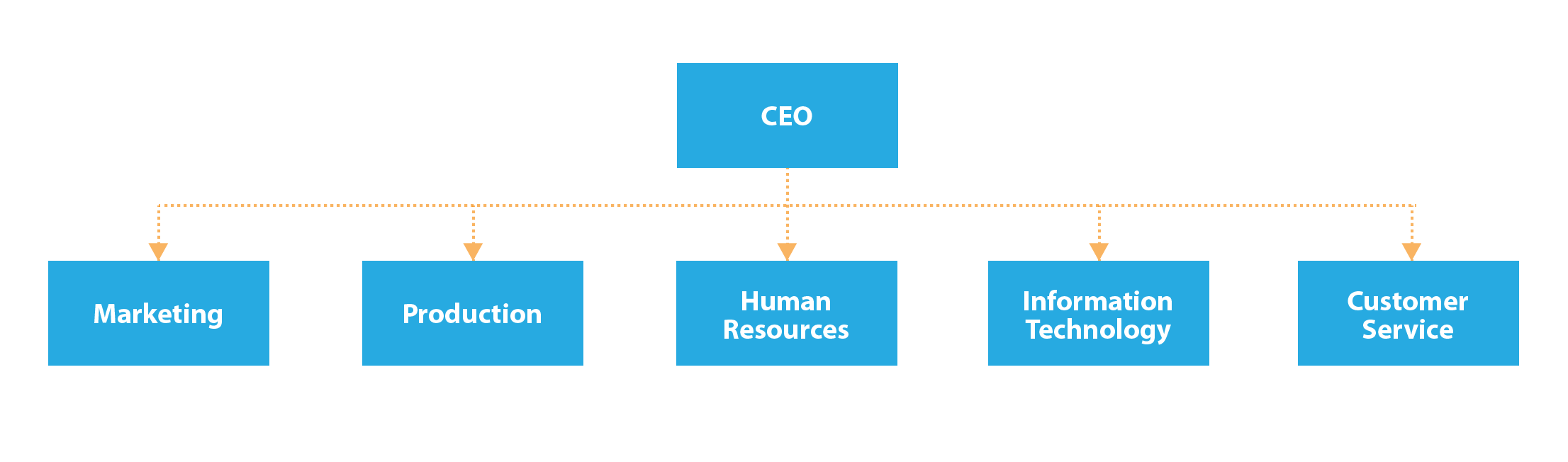 Functional Structure. there are five branches under CEO: marketing, production, human resources, information technology, customer service.