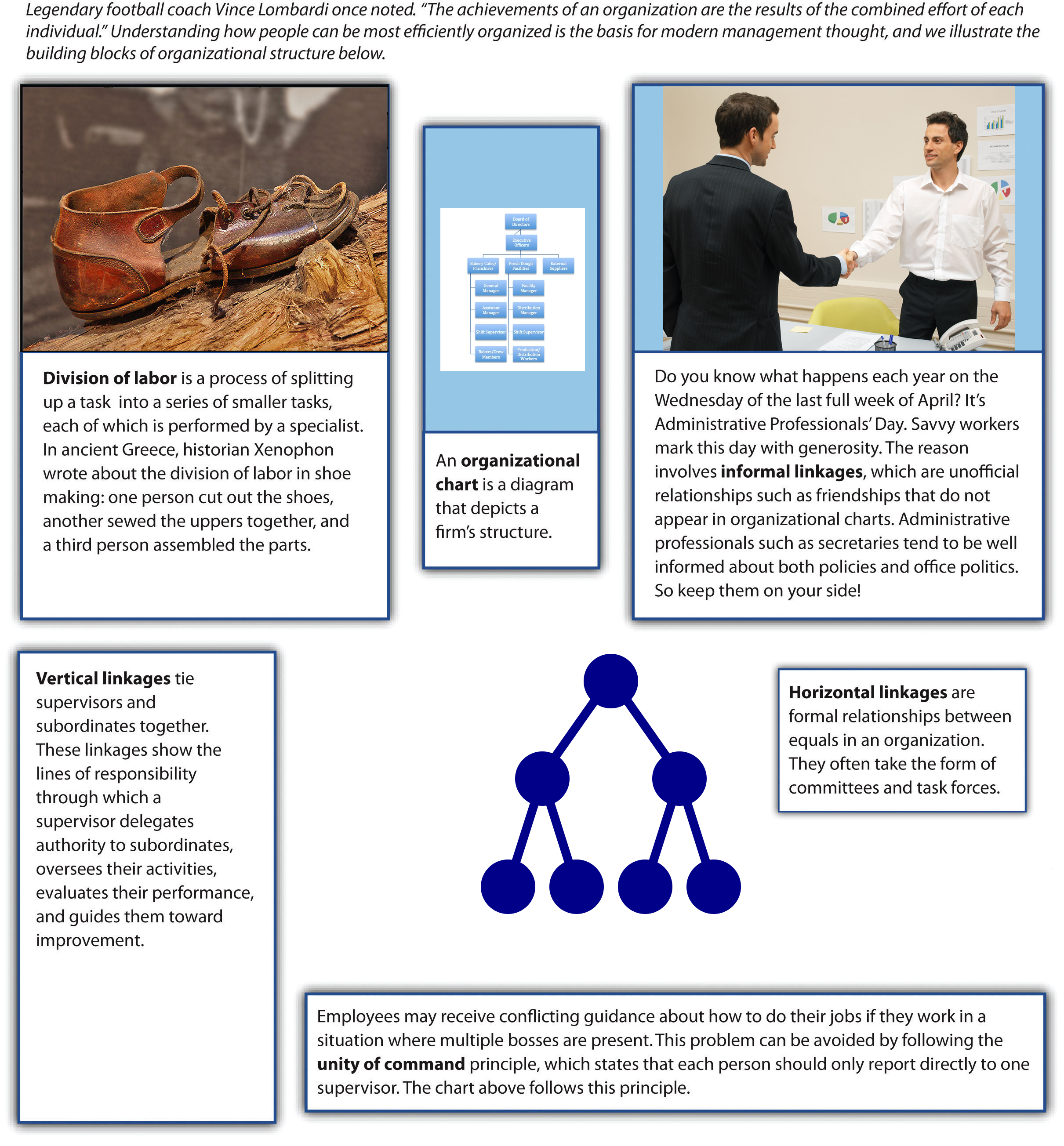 What Form Of Business Organization Does This Organizational Chart Depict