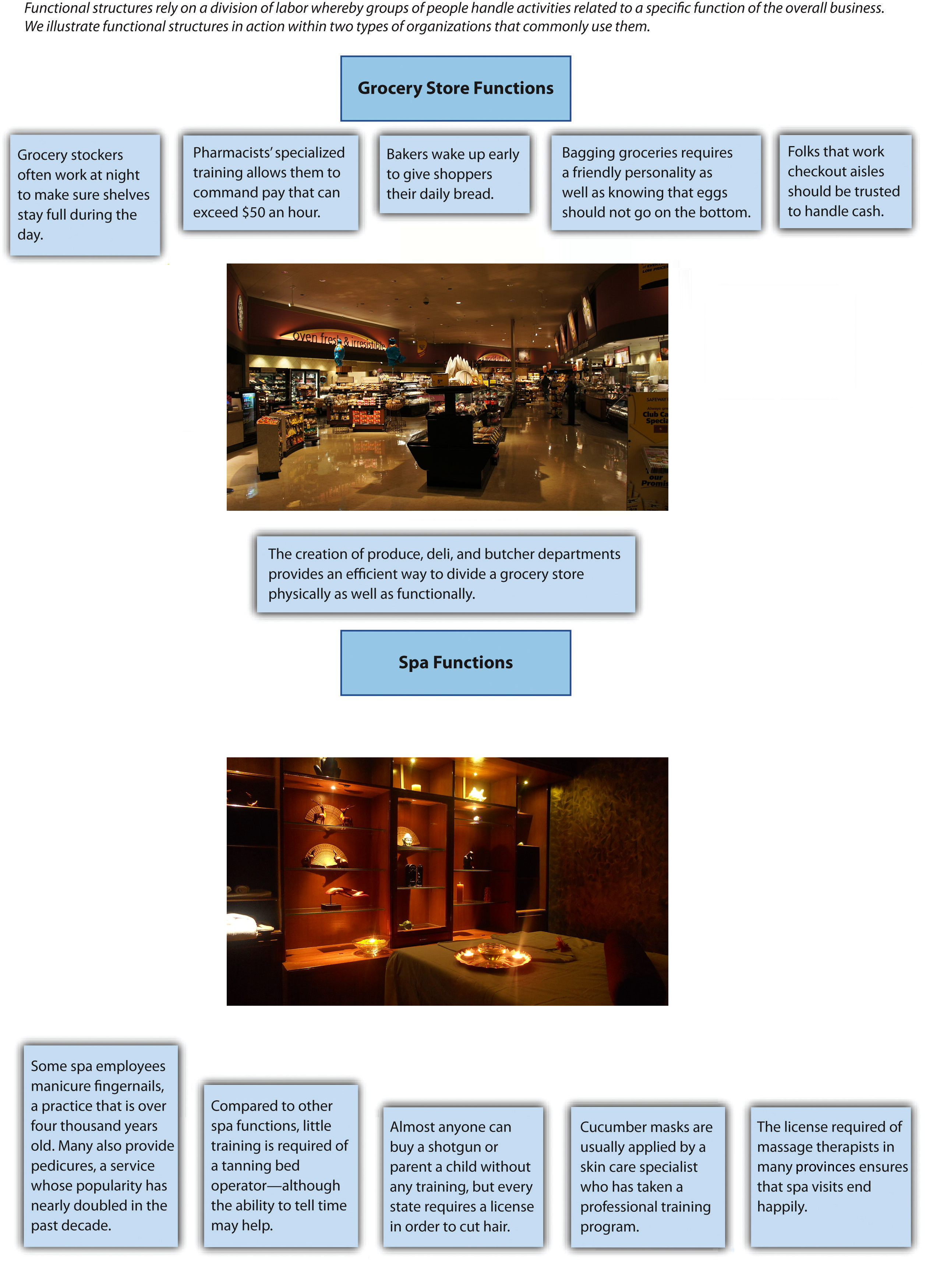 Horizontal Linkages In Organisation Chart Indicate