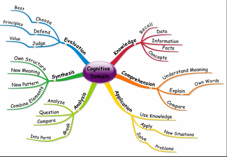 Key Elements Of Cognitivism 2024 favors