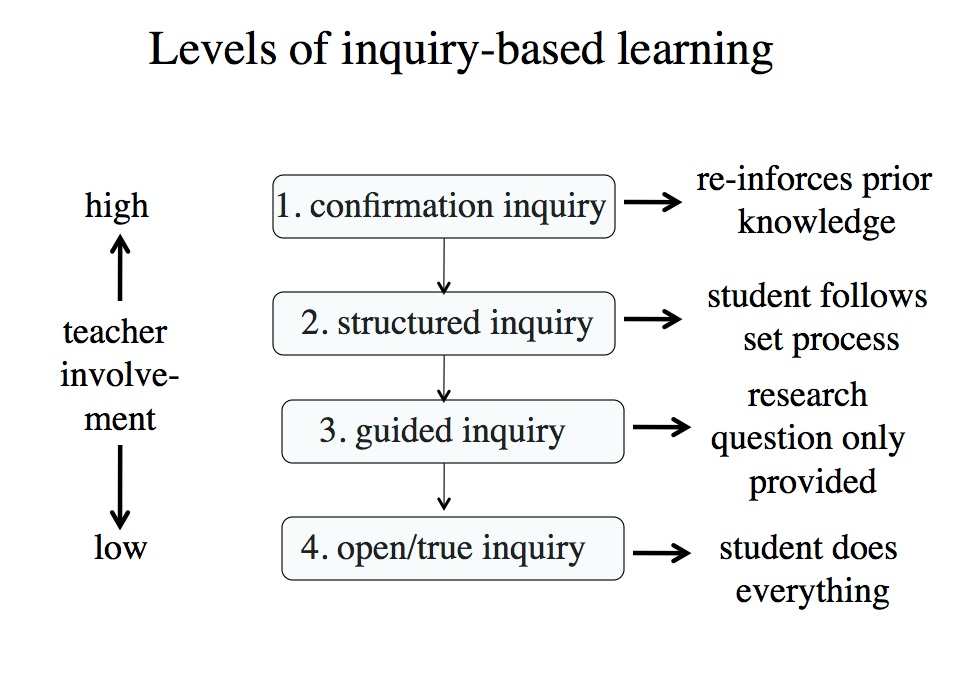 Critical thinking models