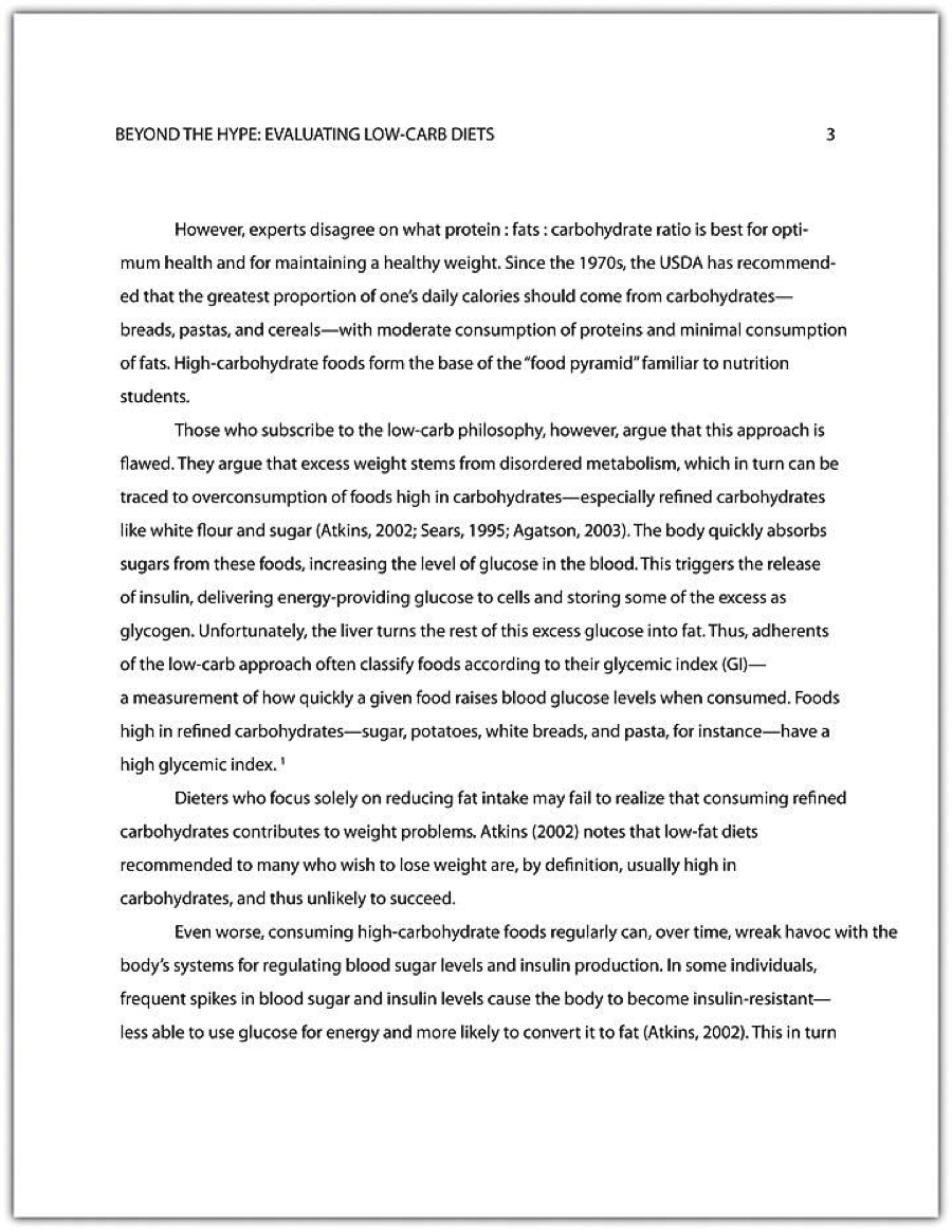 Grunberg's 2007 Published Analysis Essay