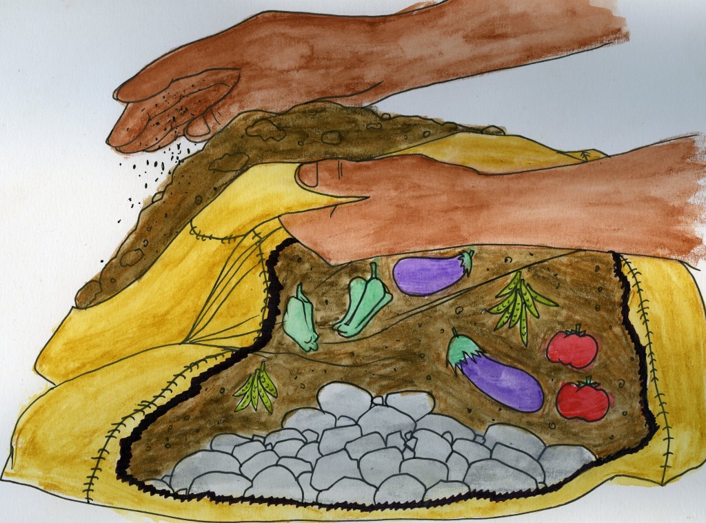 Hands handle a sack of dirt and rocks. In the sack are green peppers, tomatoes, eggplants, and peas.