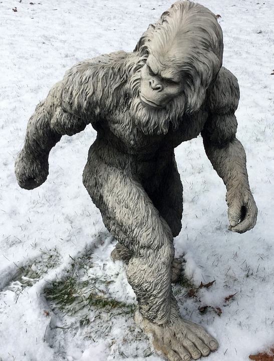 Sasquatch кто это