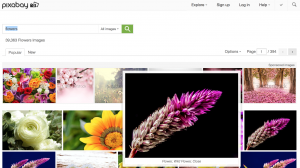 screen shots of pixabay search