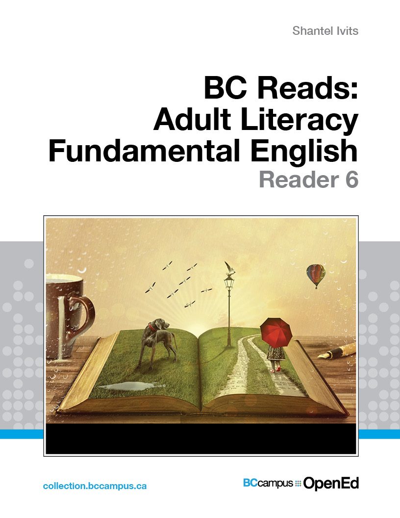 Cover image for BC Reads: Adult Literacy Fundamental English - Reader 6