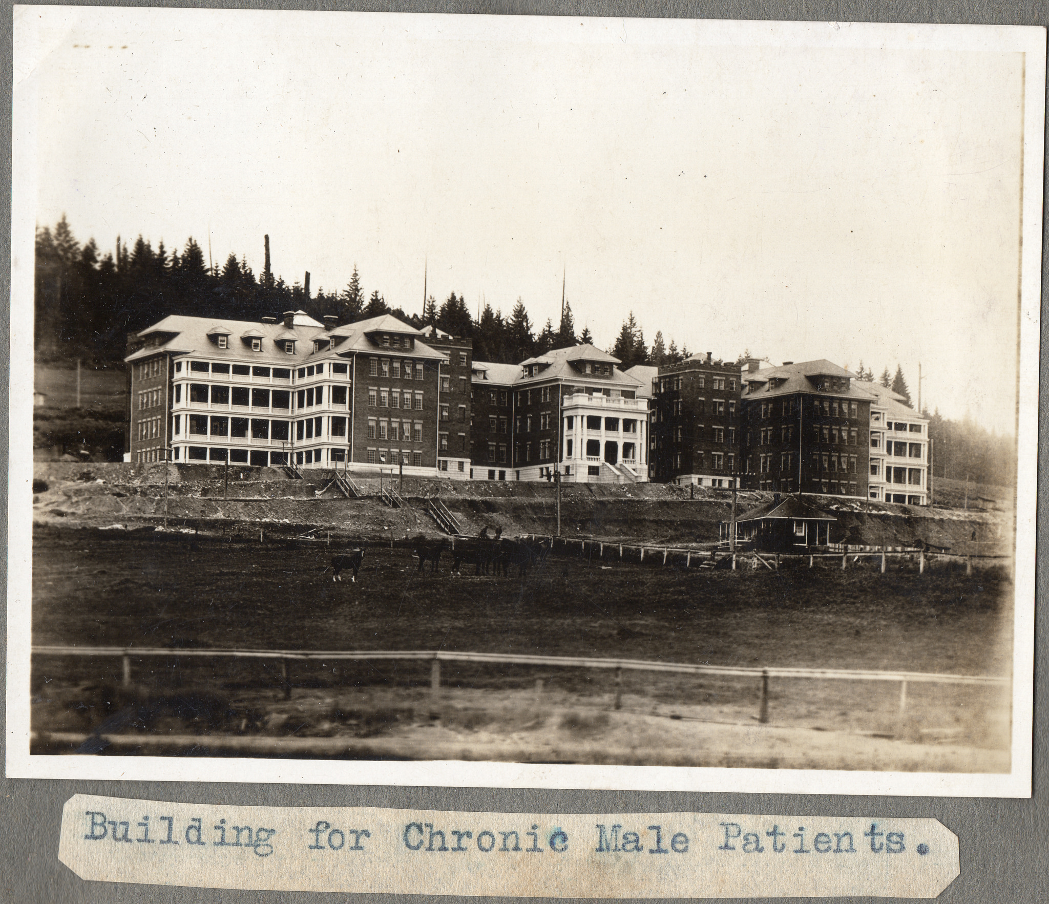 Multi-winged institution near a tree-covered ridge.