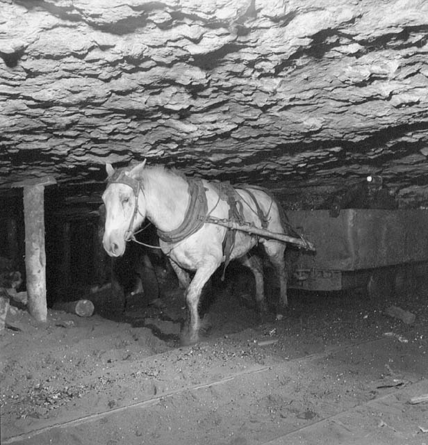 A horse pulls a minecart with a person in it underground.