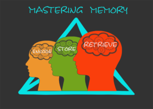 Top 5 Memorization Techniques To Improve Your Memory