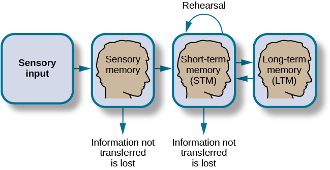 Short-term visual memory training - Key To Study