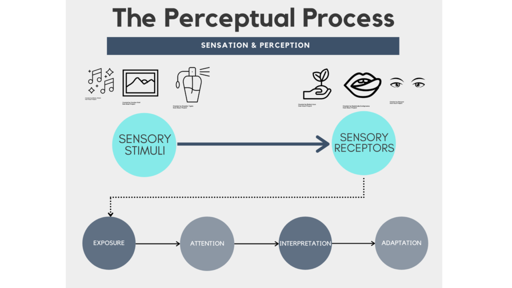 difference threshold examples psychology