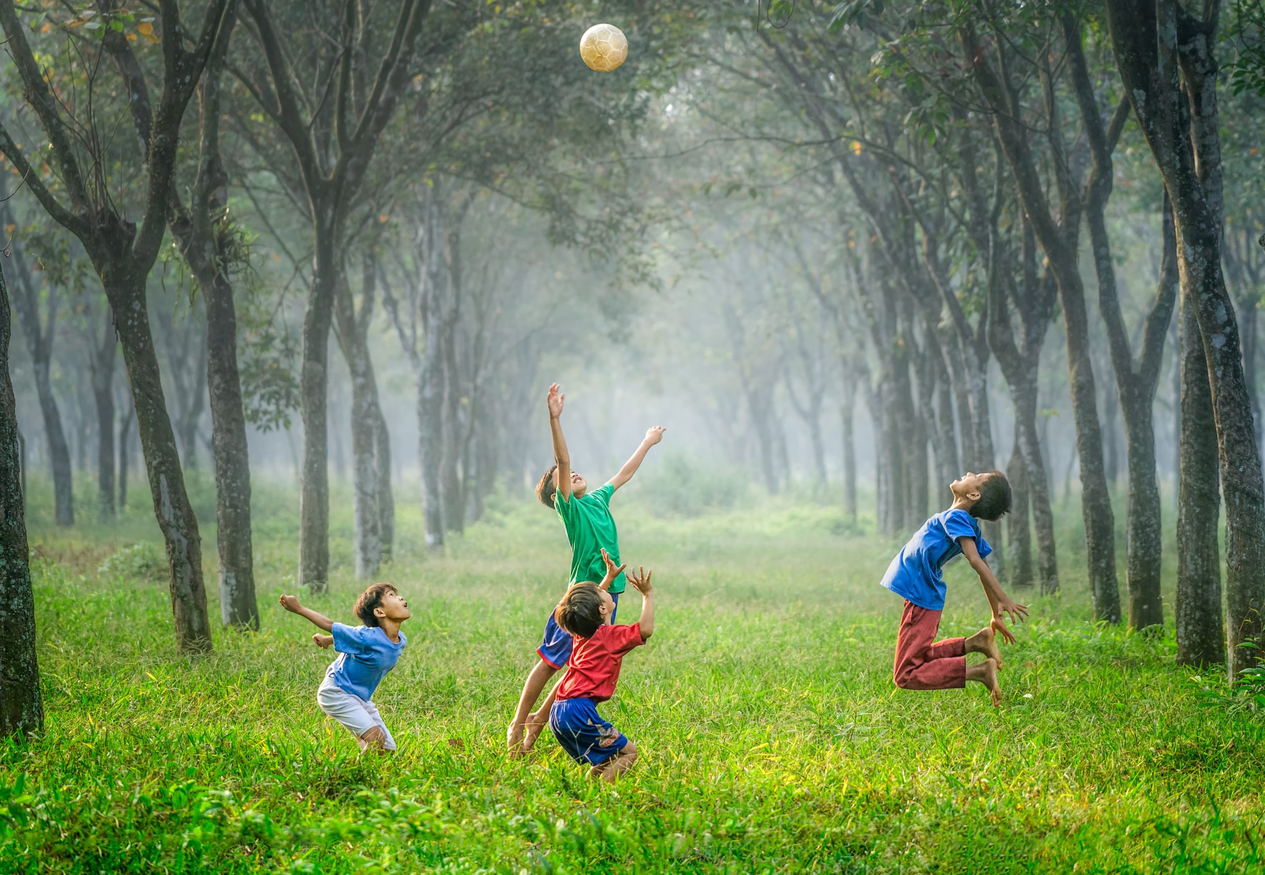 Four children playing with a ball in a field surrounded by trees.