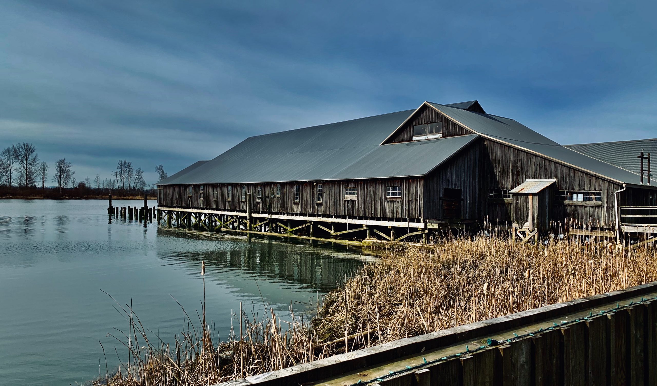 View of the Fraser River from Musqueum unceded territory now known as Richmond, BC.