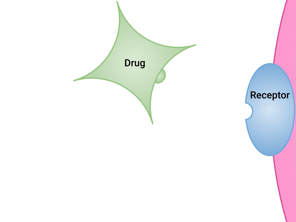 Drug binding to receptor