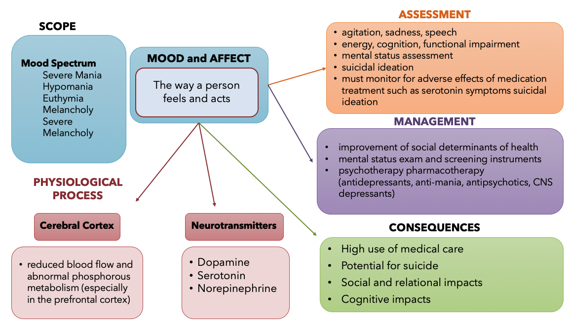 concept map for mood and affect