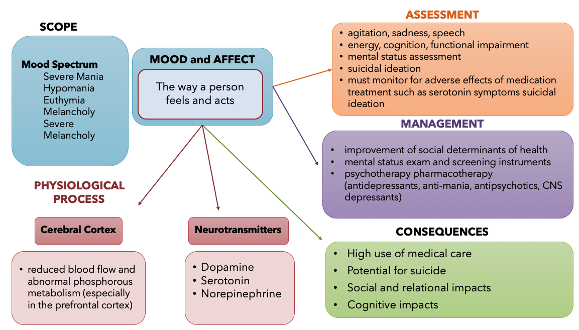 concept-map-mood-and-affect-fundamentals-of-nursing-pharmacology