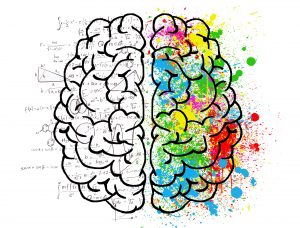 Illustration showing psychological division of the cerebral brain hemispheres.