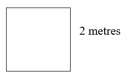 a square whose side is 2 metres