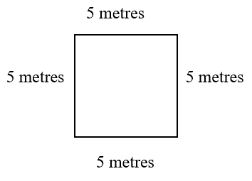 a square whose sides are 5 metres long