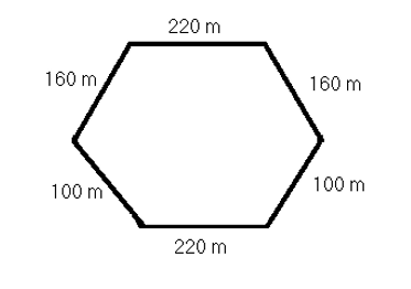 length of the sides of the hexagon: 220m, 160m, 100m, 220m 100m, 160m.