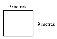 a square with side=9 metres