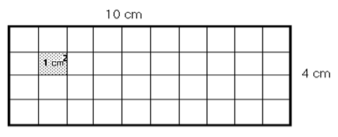 length 10cm, width 4cm