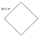 a square whose sides are 30.3m