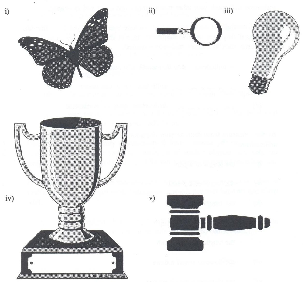 Pictures of a butterfly, magnifying glass, lightbulb, trophy, and hammer.