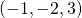 \left(-1,-2,3\right)