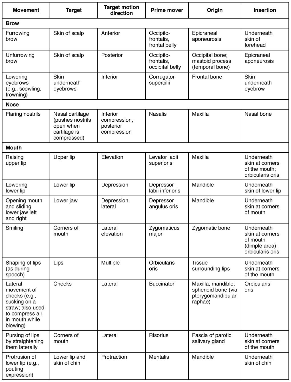 Muscle Nomenclature Chart Answers