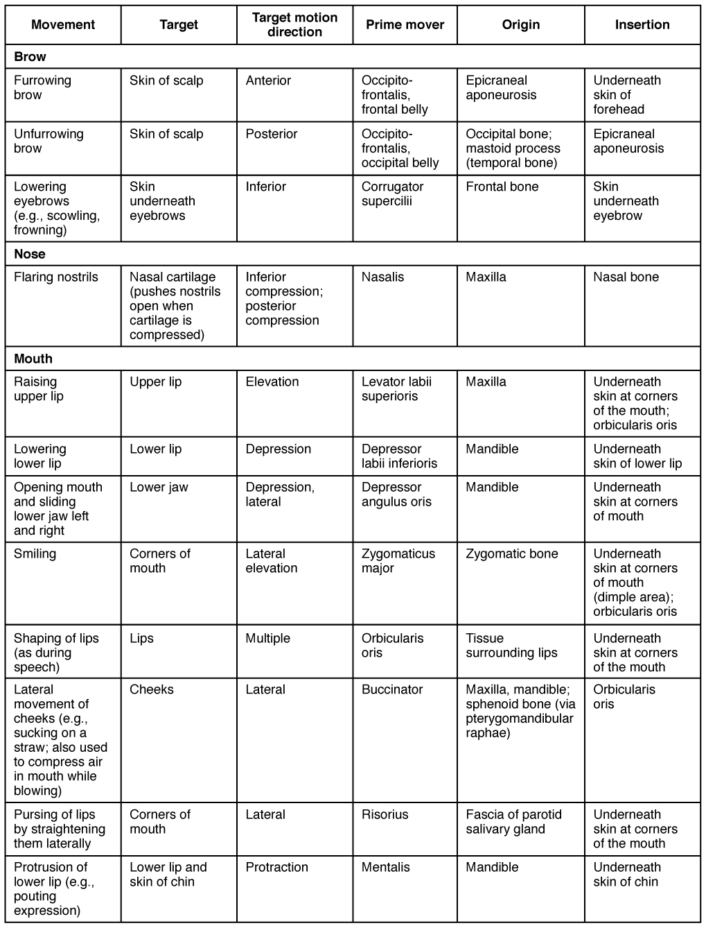 Muscle Nomenclature Chart