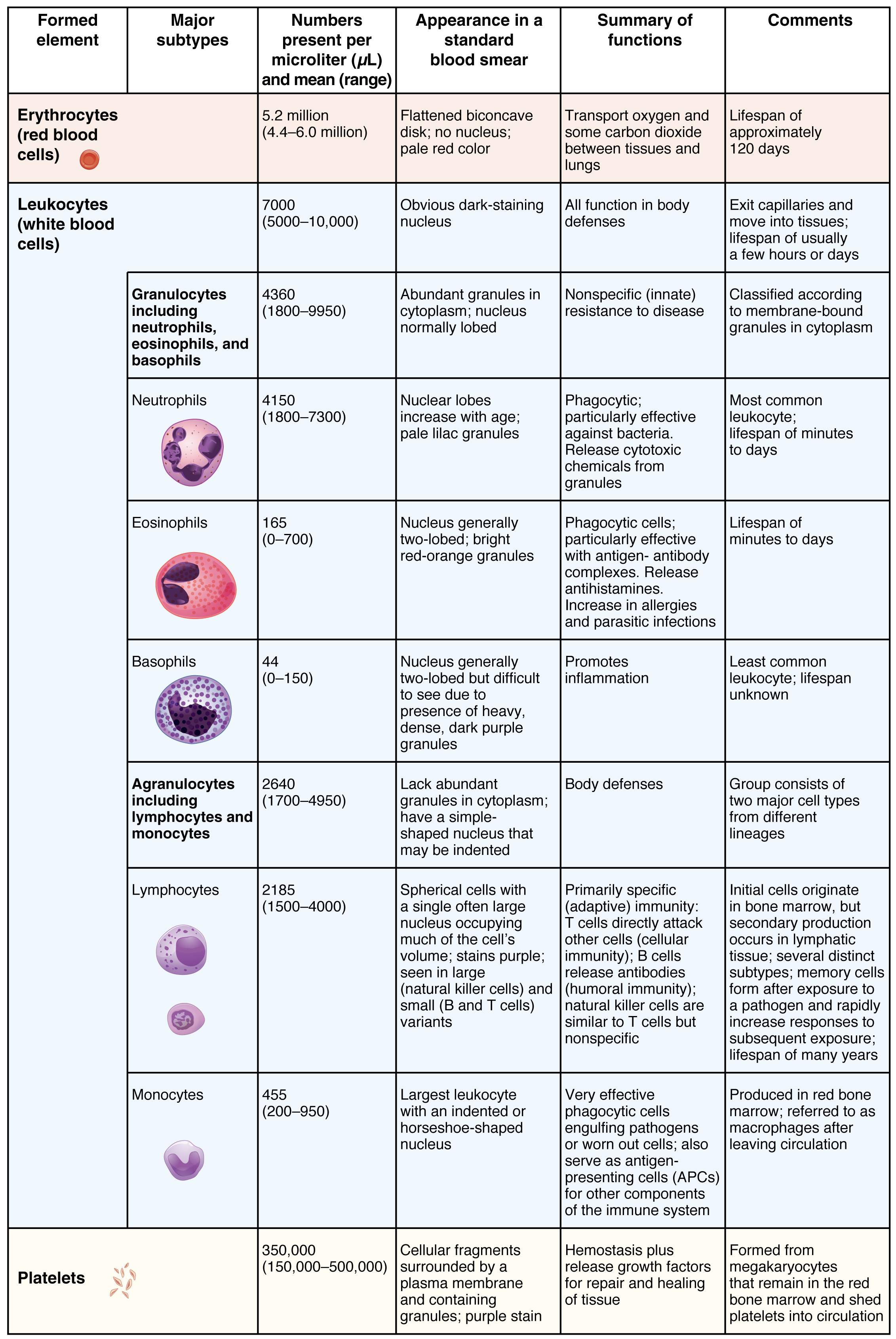 Normal Blood Count Chart