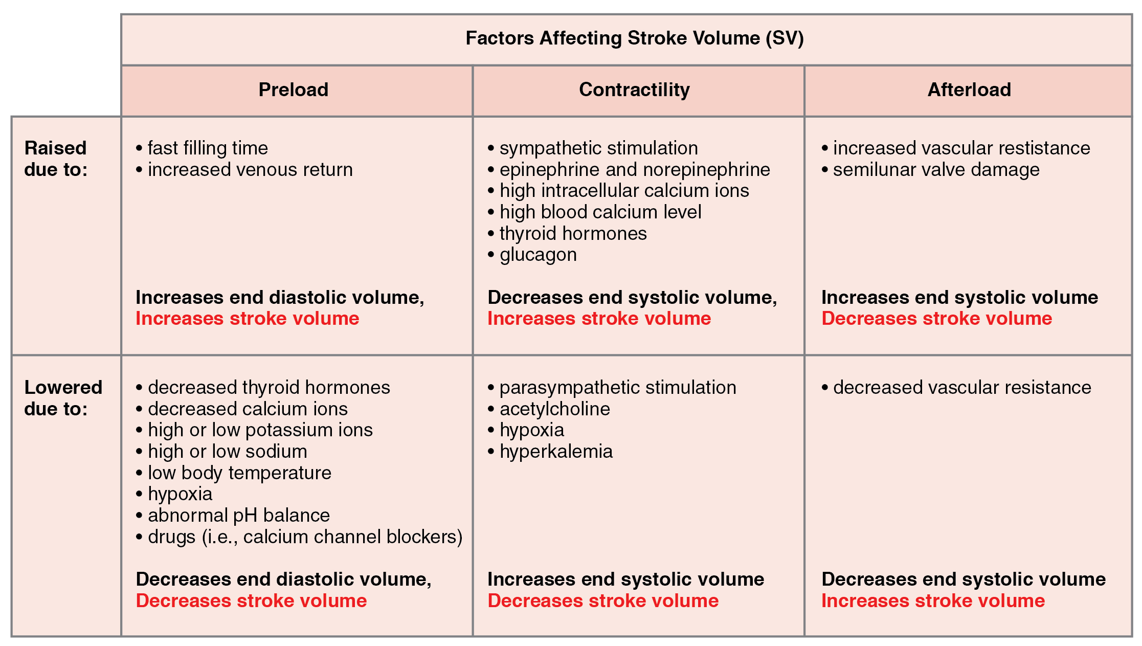 factors that influence pulse rate