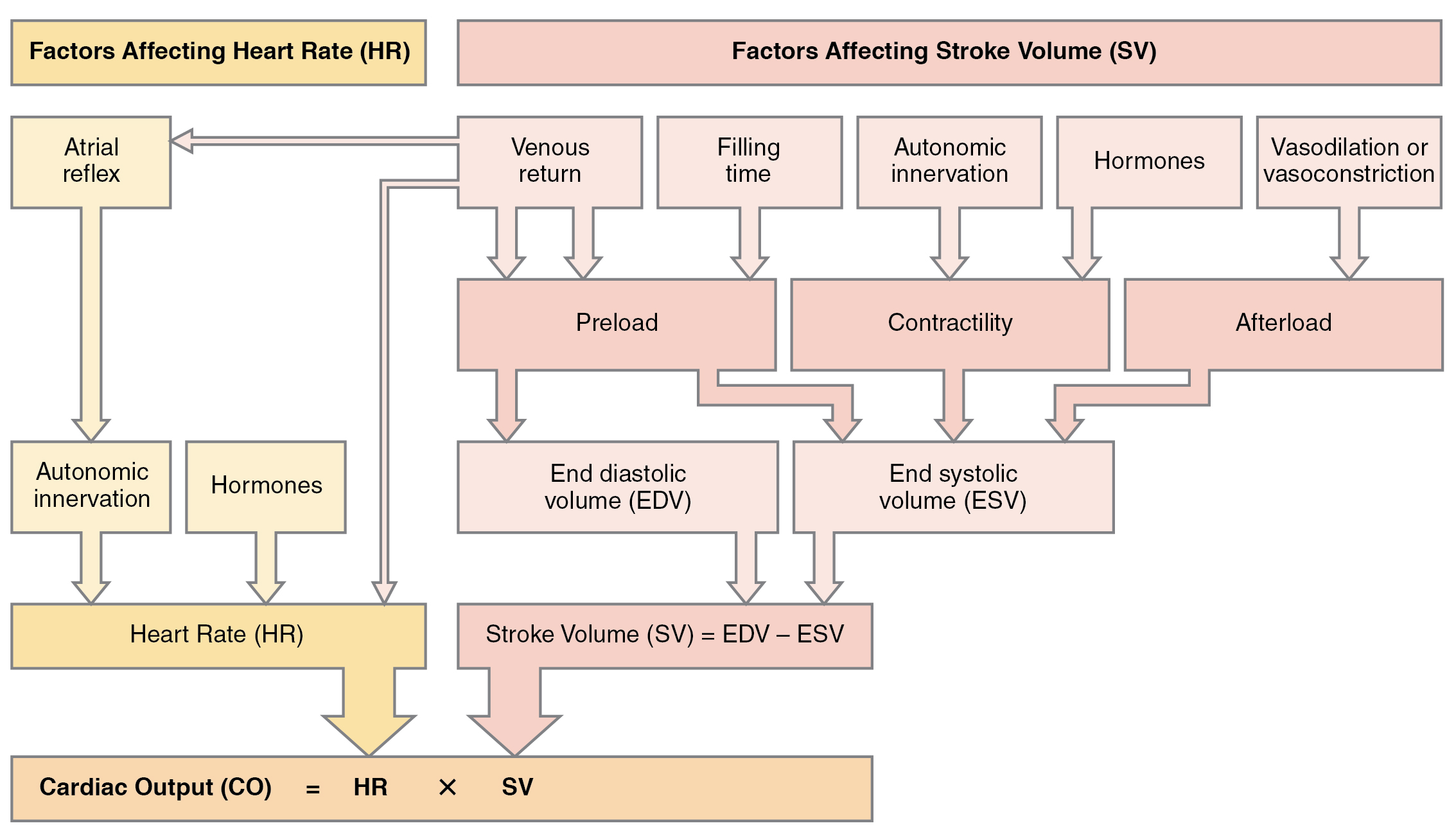 Cardiac Output Flow Chart