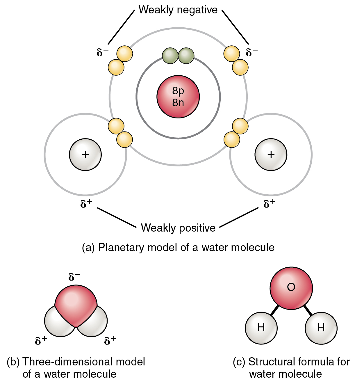 What are examples of polar covalent bonds?