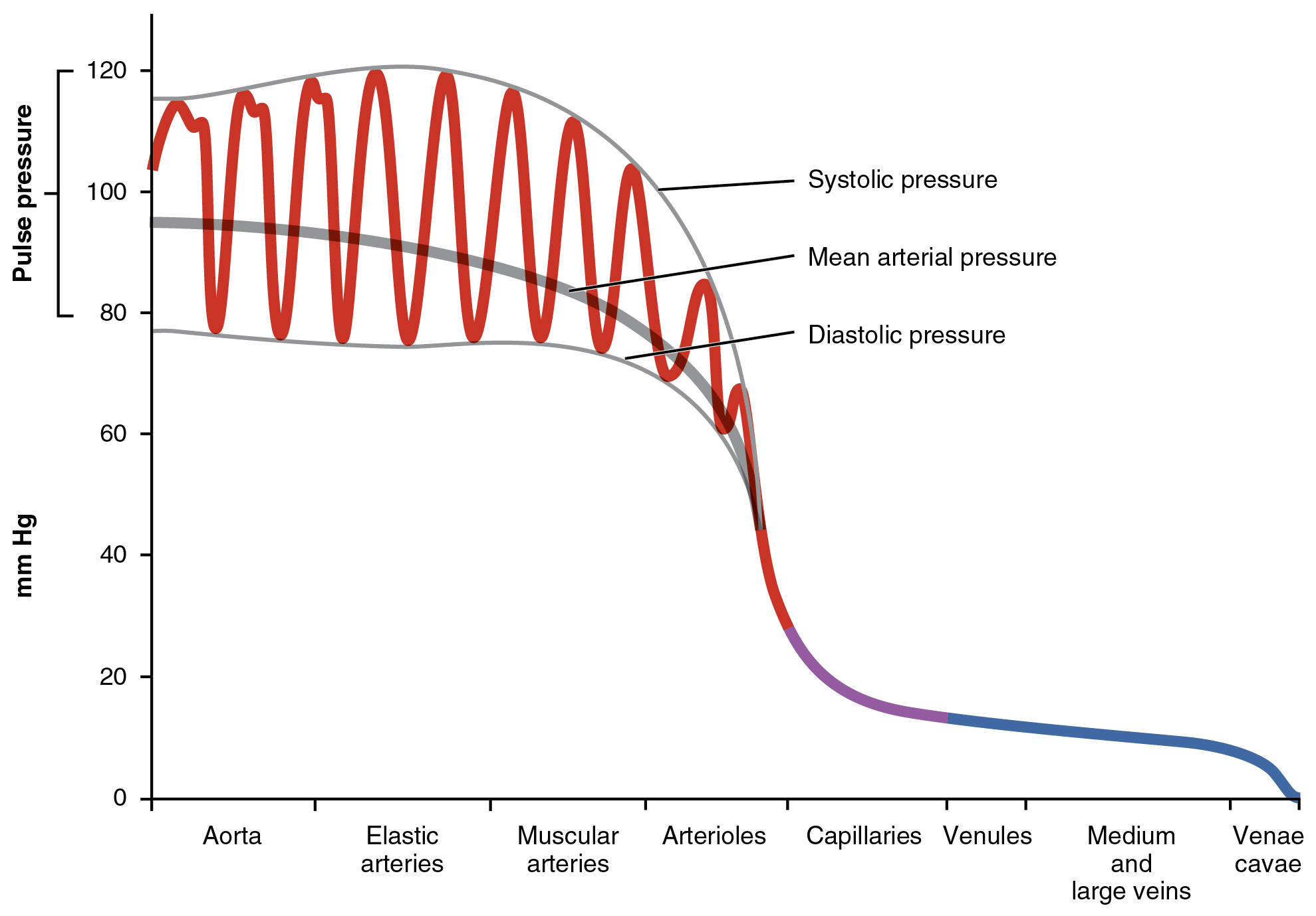 2109_Systemic_Blood_Pressure