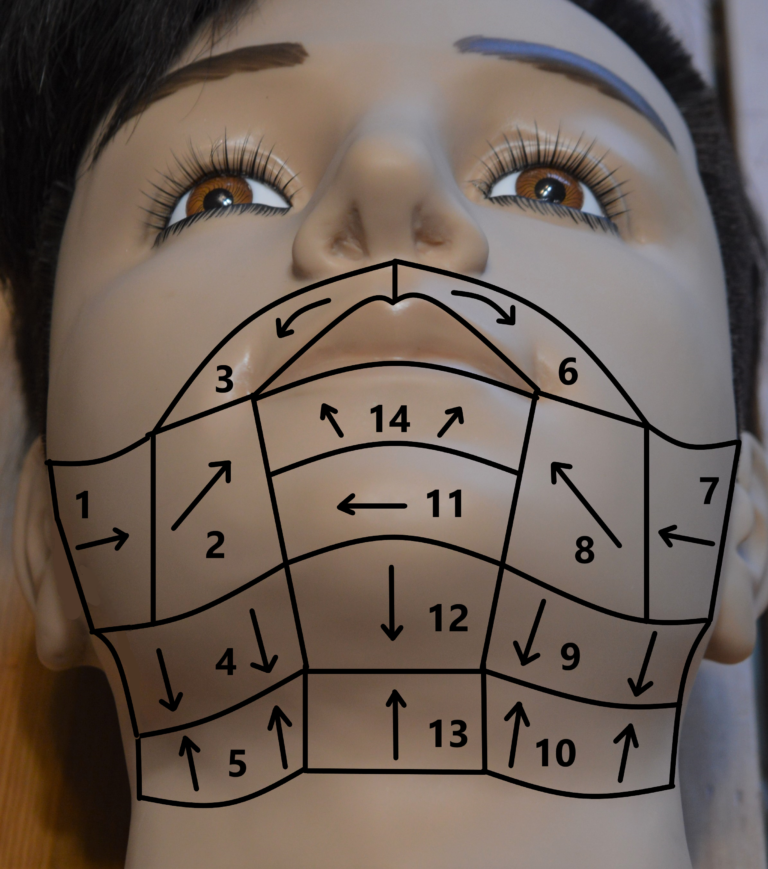 Barbering 14 Stroke Shave Diagram