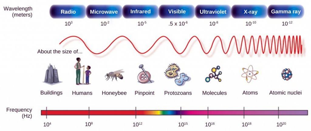 Visible light in the electromagnetic spectrum