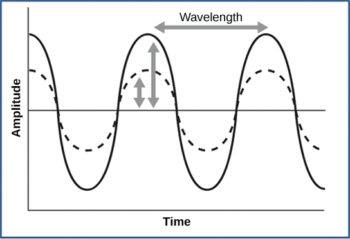 17.4 Hearing and Vestibular Sensation – Concepts of Biology – 1st ...