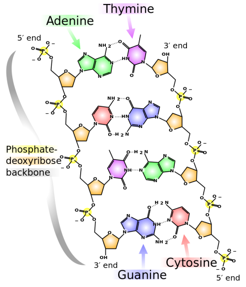 Solved] Select the correct IUPAC name for the cycloalkane: | Course Hero