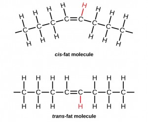 Large biological molecules and their types discussed