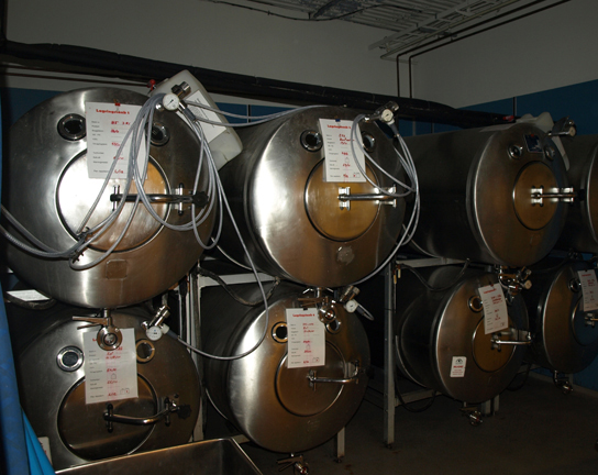 This photo shows large, silver-colored, cylindrical fermentation tanks.